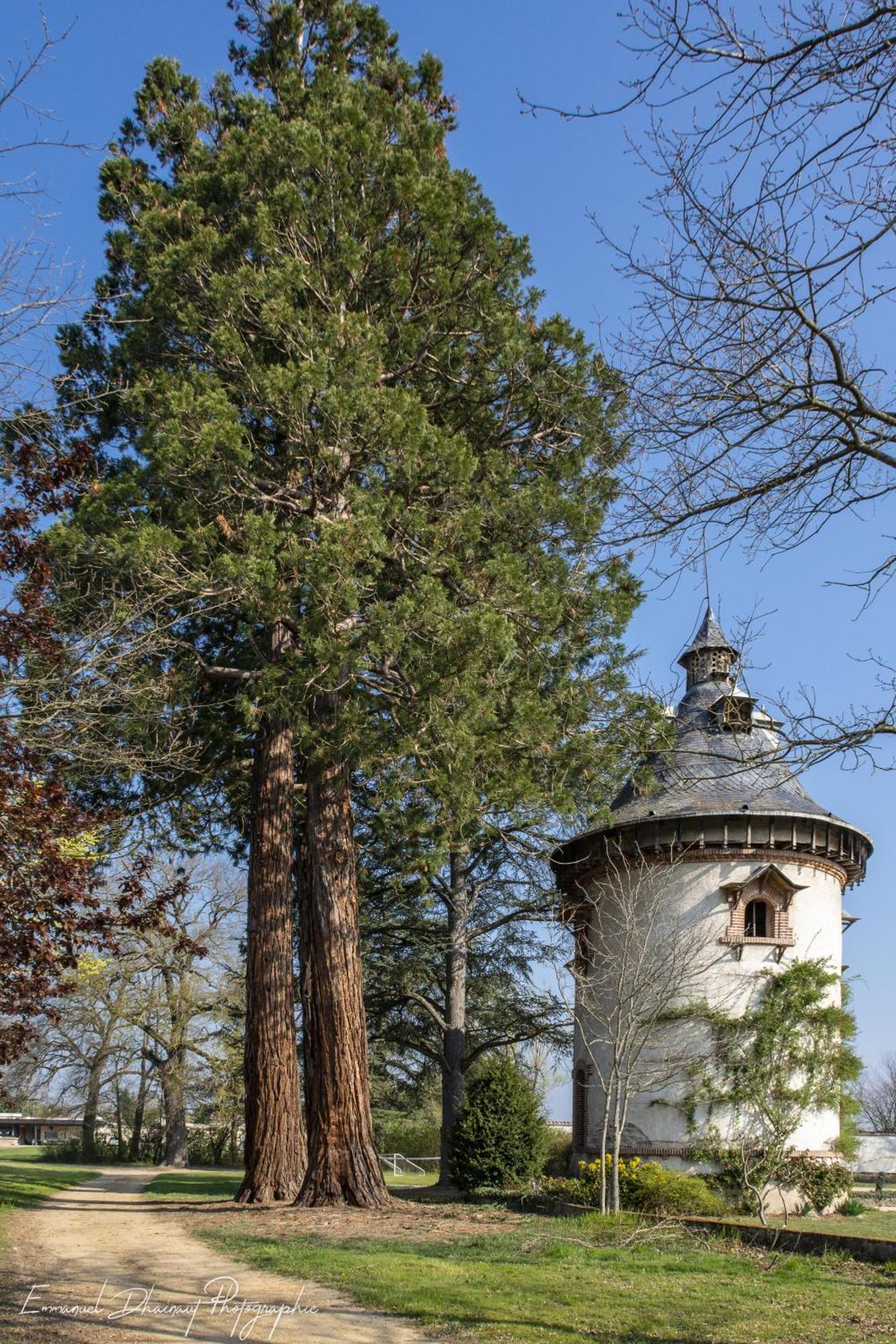Orangerie De Chatel-Selection Figaro & Elle Magazine Cleppé 外观 照片